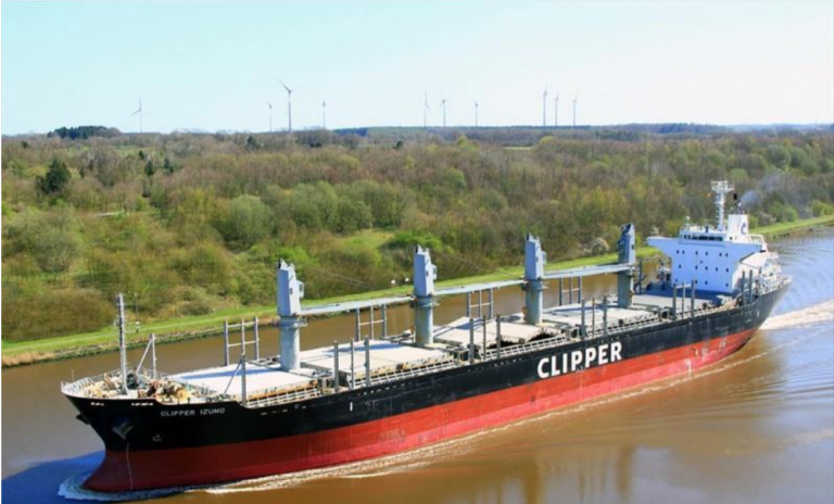 Handysize Bulk Carriers